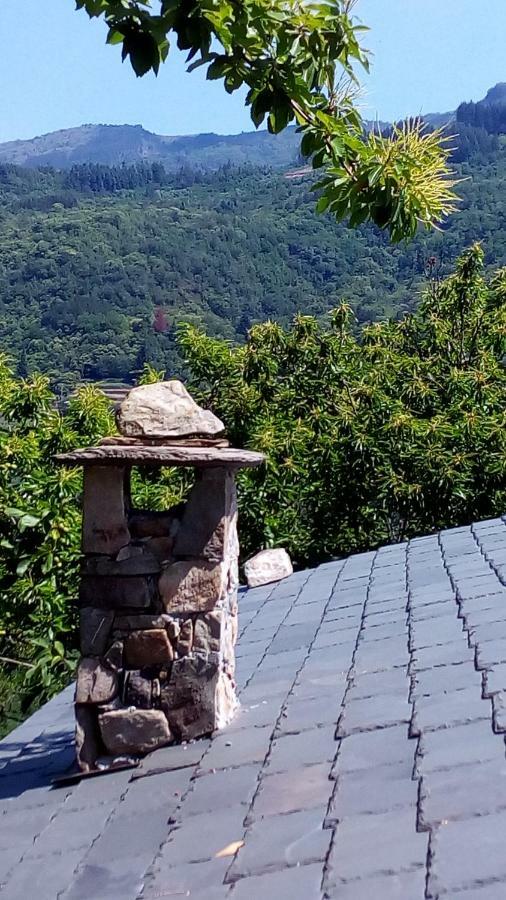 Casa Millin Apartment Borzonasca Екстериор снимка
