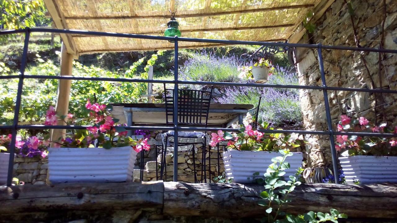 Casa Millin Apartment Borzonasca Екстериор снимка